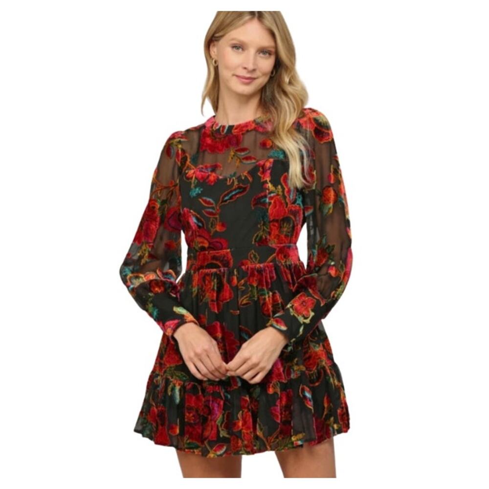 Fate Mini Dress Womens Large Floral Velvet Sheer Romantic Cottagecore‎